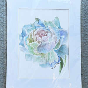 Peony Painting1